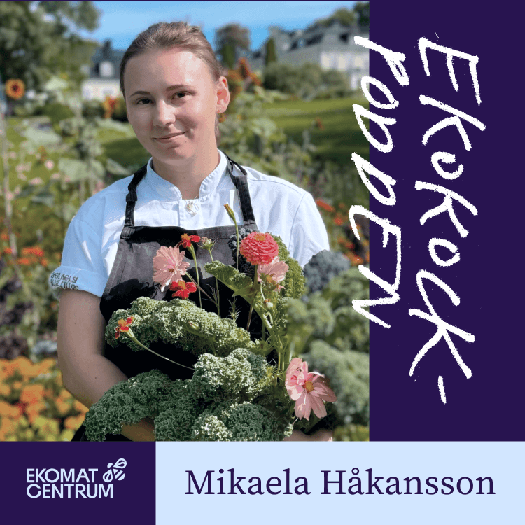 Mikaela Håkansson, Årets Ekokock 2025